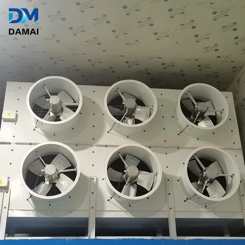 product-800-800 product-800-800